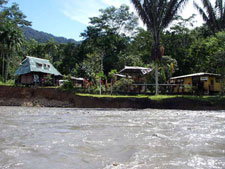 Peru-Amazon-Complete Manu Biosphere Reserve Experience